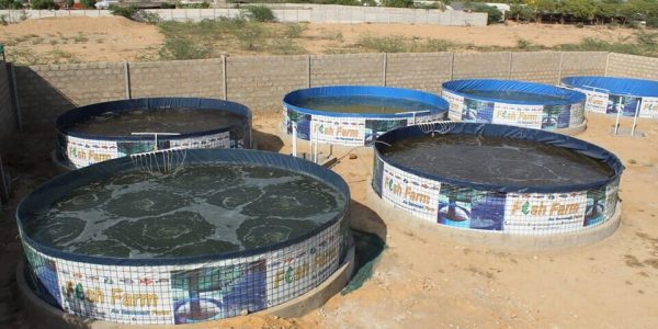 whatsapp image 2025 10 07 at 9.25.56 pm