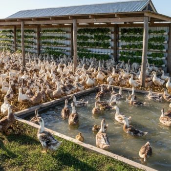 whatsapp image 2025 11 02 at 4.39.02 pm